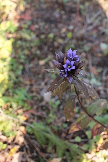 e0209997_230321.jpg