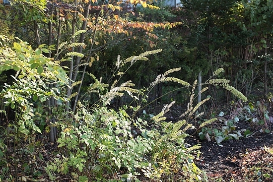 e0209997_2312480.jpg