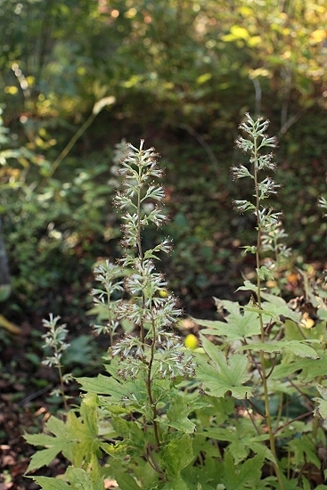 e0209997_2322188.jpg