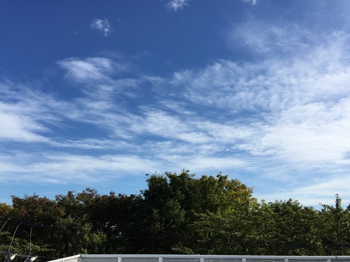 f0108399_2152259.jpg