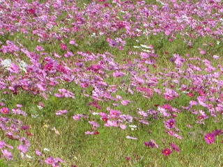 c0152002_17451320.jpg