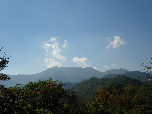 f0187402_22373687.jpg