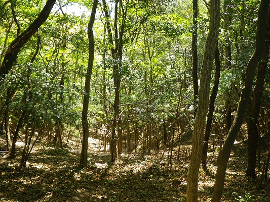 f0187402_2238556.jpg
