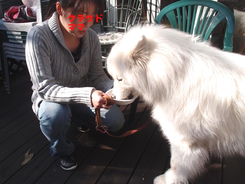 e0018604_16564536.jpg