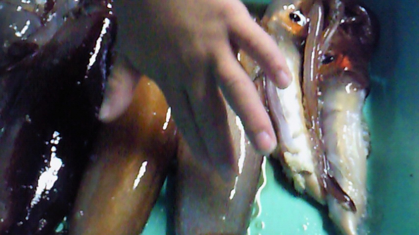 d0149105_19352013.jpg