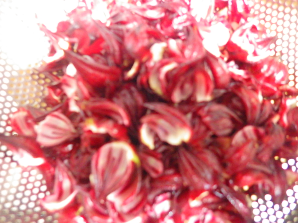 c0280206_614599.jpg
