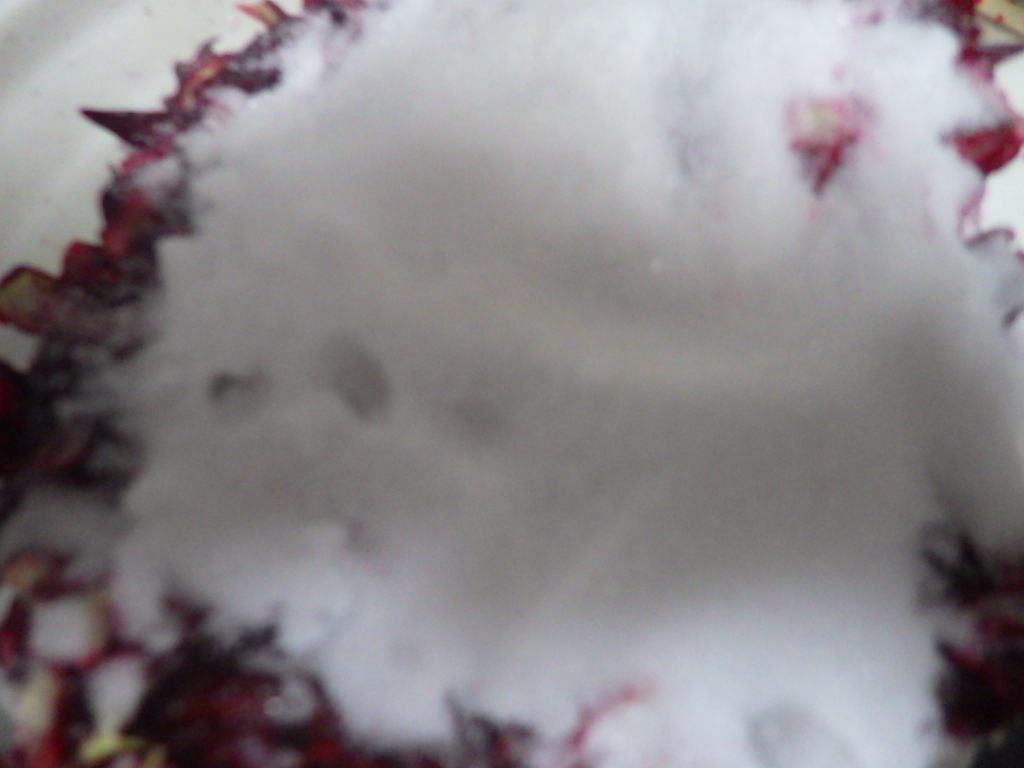 c0280206_6264266.jpg