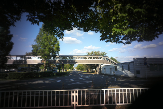 d0143011_21332115.jpg