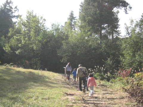 e0033013_1033356.jpg