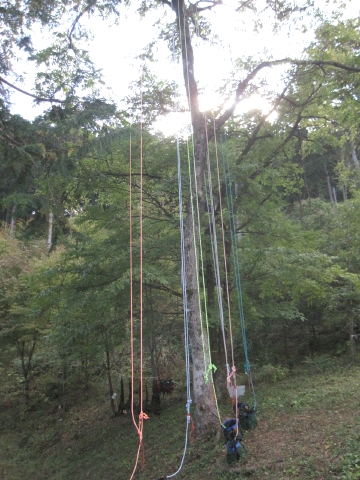 e0033013_10361685.jpg