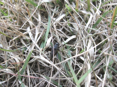 e0033013_10445770.jpg