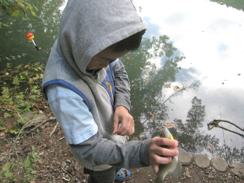 e0033013_10581475.jpg