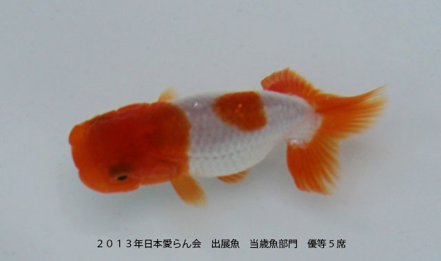 c0162817_10475240.jpg