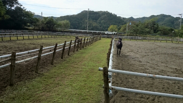 b0187620_2022180.jpg