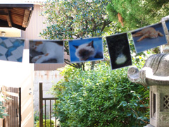 c0188928_14375688.jpg