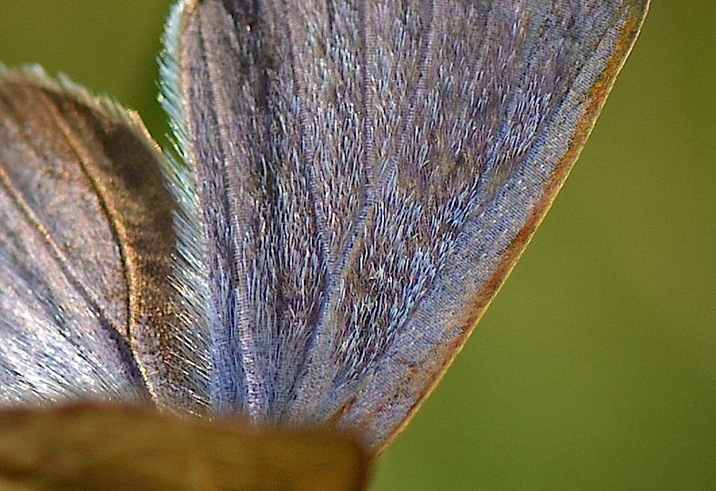 d0303129_257649.jpg