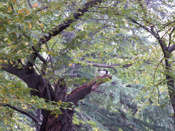 f0118332_21172653.jpg