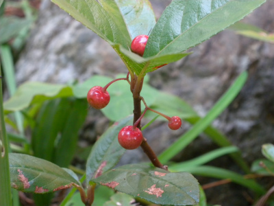 e0272335_16155525.jpg