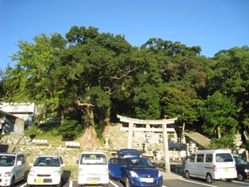 c0077338_663563.jpg