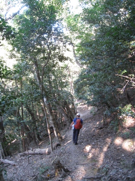 c0077338_683188.jpg