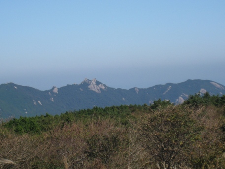 c0077338_683261.jpg