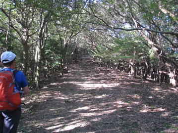 c0077338_6853.jpg