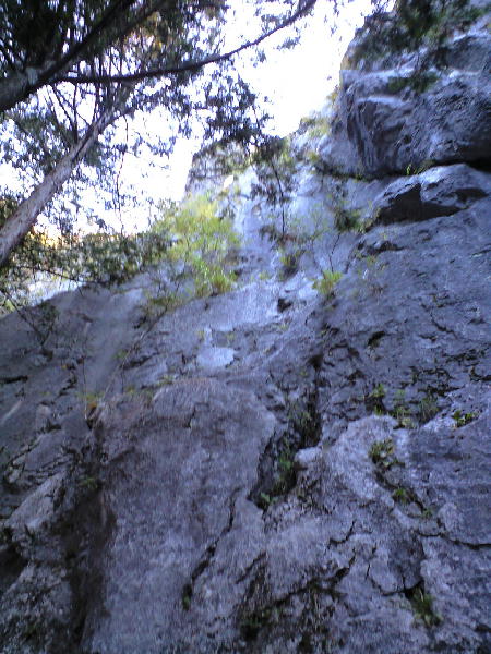 d0107938_174175.jpg