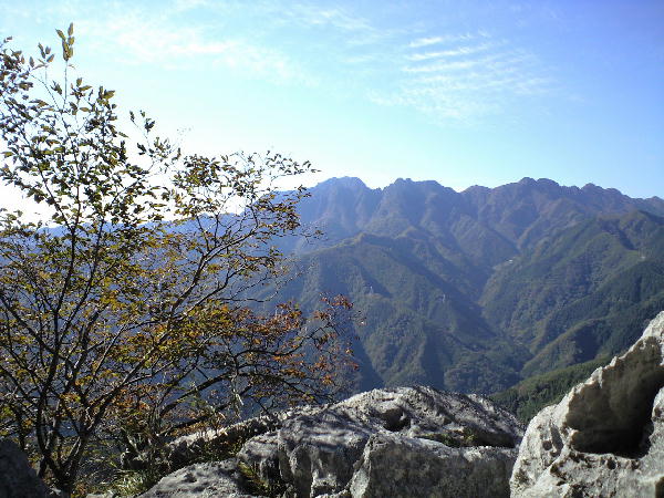 d0107938_174208.jpg