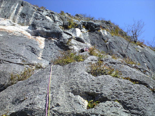 d0107938_17475593.jpg
