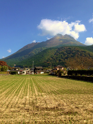 a0135840_10355376.jpg
