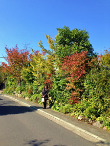 a0135840_10364010.jpg