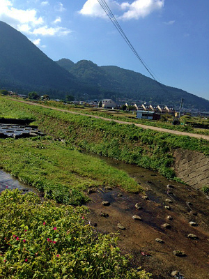 a0135840_1036713.jpg