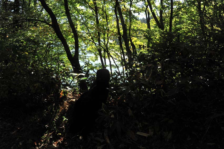 b0075541_2011081.jpg