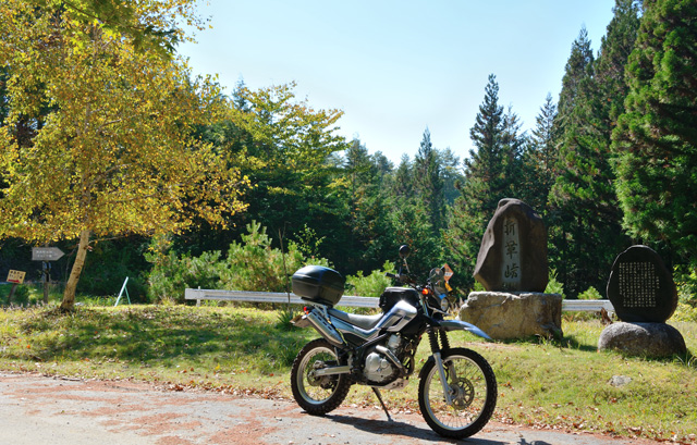 d0164443_15572510.jpg