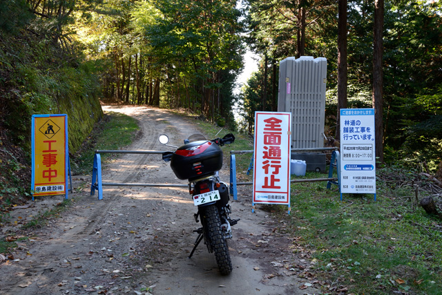 d0164443_1602275.jpg