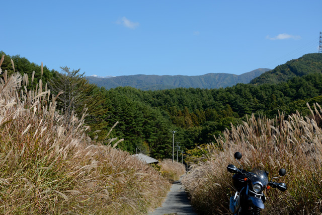 d0164443_1651989.jpg