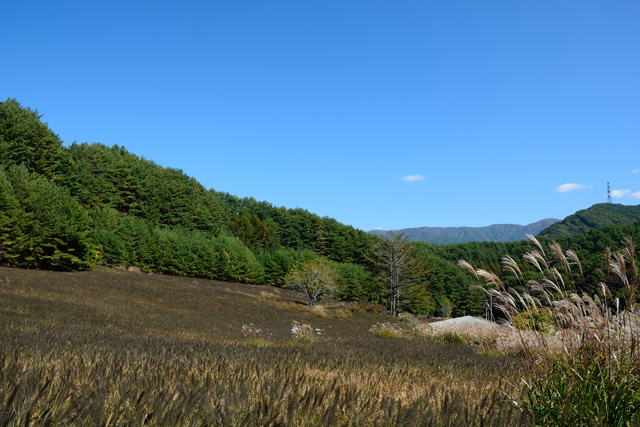 d0164443_1653838.jpg