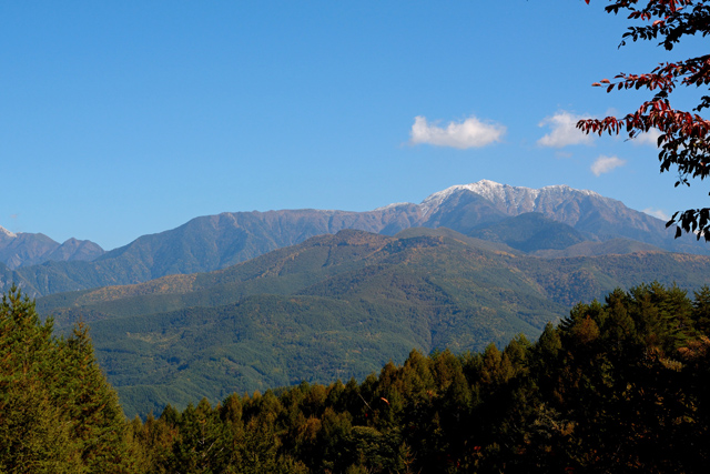 d0164443_1692625.jpg
