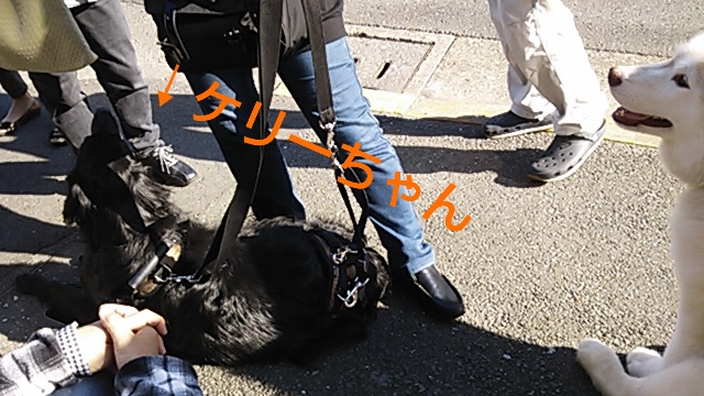 e0121548_1129505.jpg