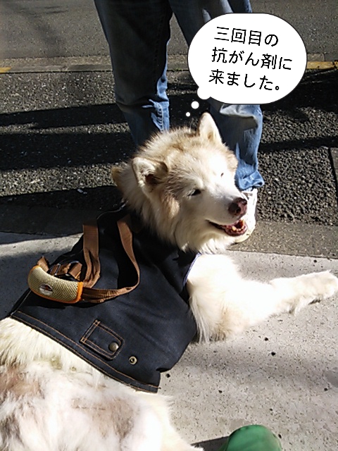 e0121548_9115792.jpg