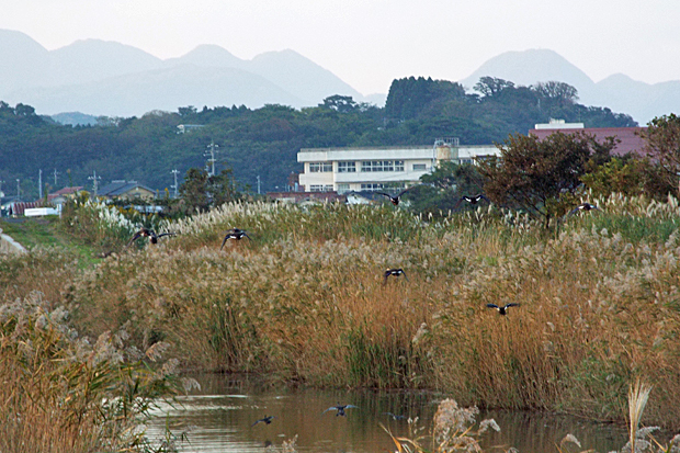 f0214649_626045.jpg