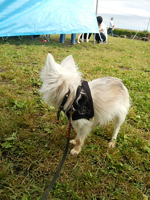 b0072650_1095816.jpg