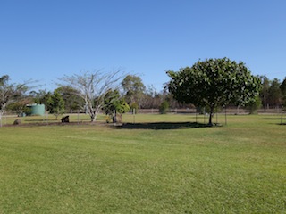 e0138350_2242251.jpg