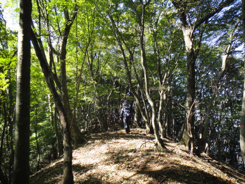 c0179351_18242282.jpg