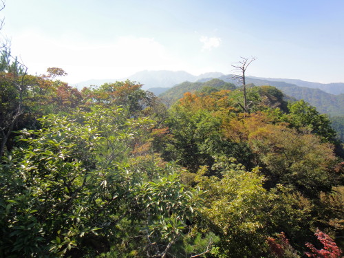 c0179351_18274528.jpg