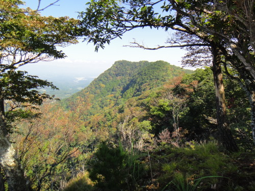 c0179351_18292564.jpg