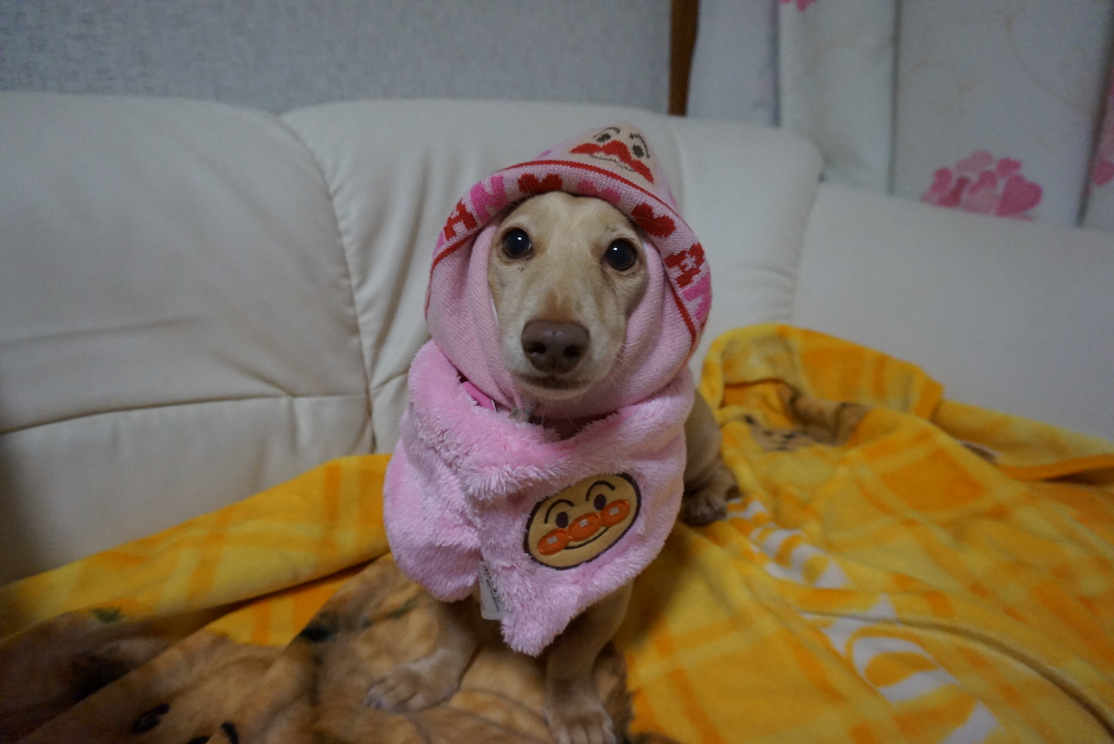 c0245751_20340829.jpeg