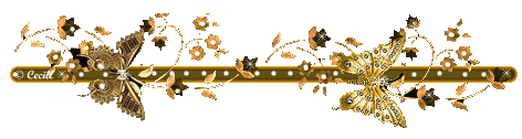 b0133752_115136.gif