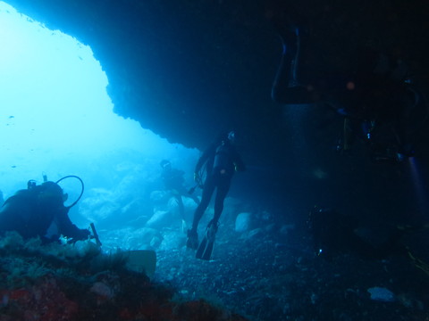 d0076952_1640052.jpg
