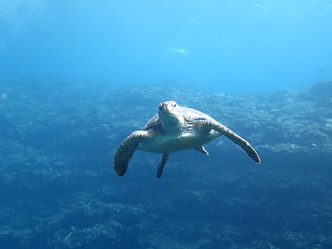 d0076952_16435567.jpg